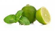 Limes and mint isolated on white background